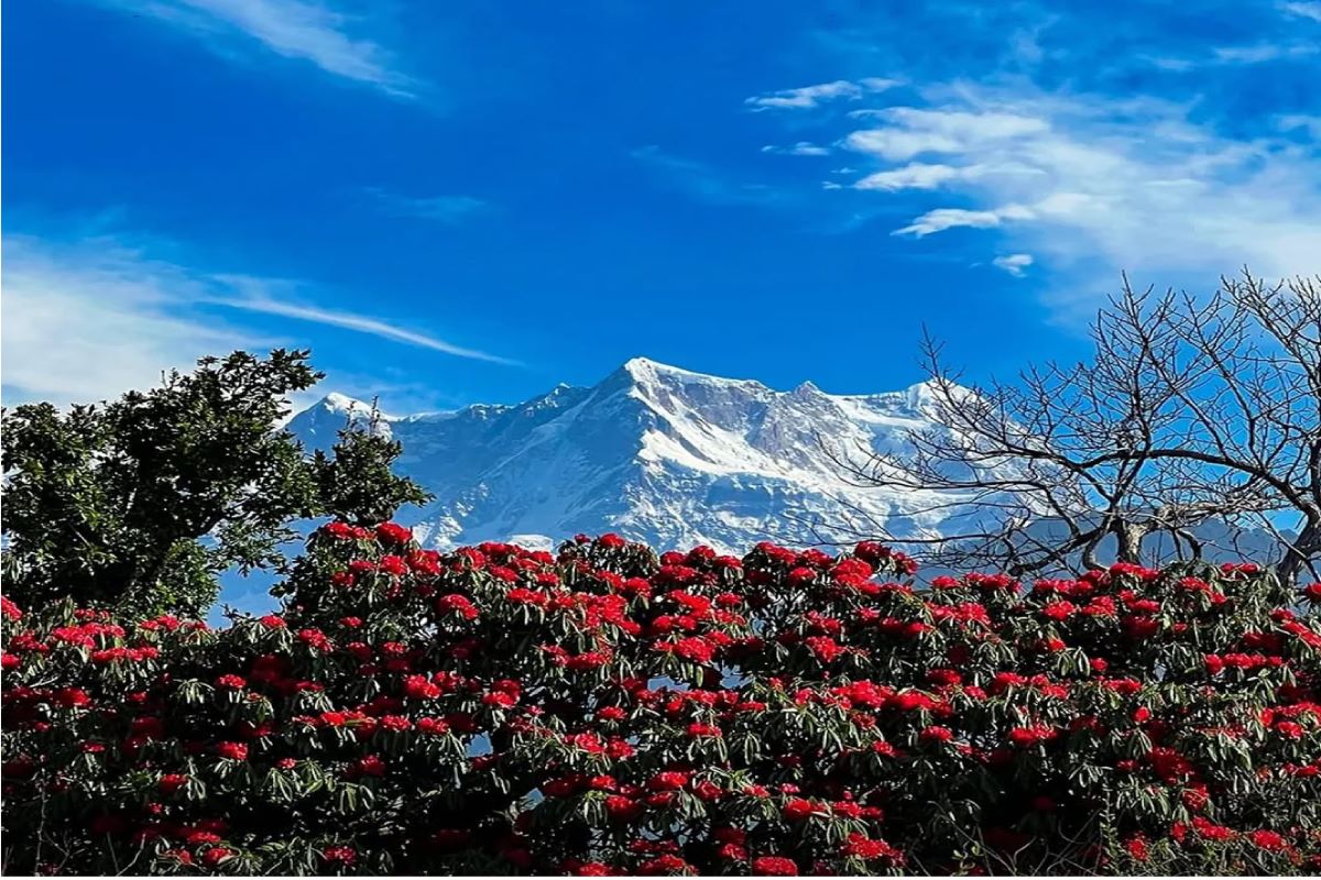 Uttarakhand Tour Gallery